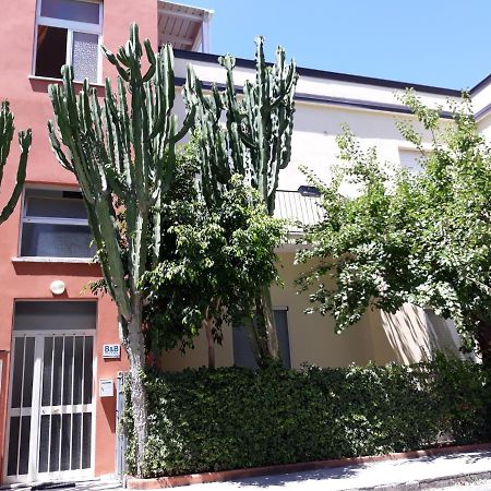 Bed and Breakfast Porto Di Mare Praia a Mare Exterior foto
